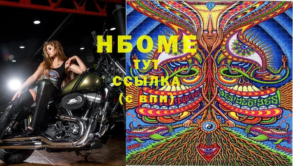 ГАЛЛЮЦИНОГЕННЫЕ ГРИБЫ Абдулино